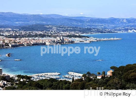 CAP D' ANTIBES, VILLE DE ANTIBES JUAN -LES-PINS, COTE D' AZUR. (06F00410.jpg)