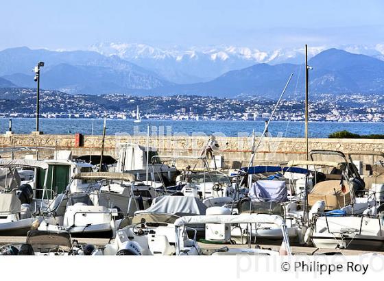 PORT DE LA SALIS, CAP D ' ANTIBES, ANTIBES JUAN LES PINS, COTE D' AZUR. (06F00434.jpg)