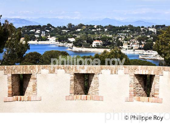 POSIDONIA, VILLE DE ANTIBES  JUAN -LES-PINS, COTE D' AZUR (06F00507.jpg)