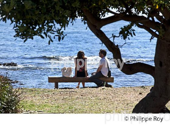 SENTIER LITTORAL, CAP D' ANTIBES,  VILLE DE ANTIBES  JUAN -LES-PINS, COTE D' AZUR. (06F00518.jpg)