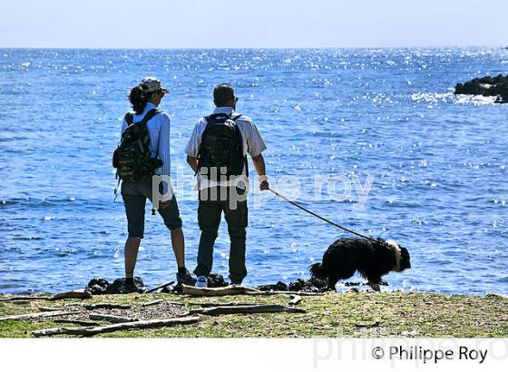 SENTIER LITTORAL, CAP D' ANTIBES,  VILLE DE ANTIBES  JUAN -LES-PINS, COTE D' AZUR. (06F00519.jpg)