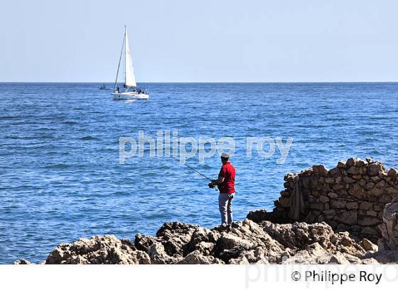 SENTIER LITTORAL, CAP D' ANTIBES,  VILLE DE ANTIBES  JUAN -LES-PINS, COTE D' AZUR. (06F00520.jpg)