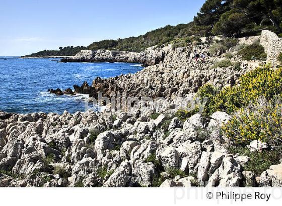 SENTIER LITTORAL, CAP D' ANTIBES,  VILLE DE ANTIBES  JUAN -LES-PINS, COTE D' AZUR. (06F00527.jpg)