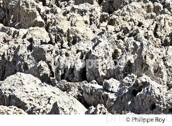 SENTIER LITTORAL, CAP D' ANTIBES,  VILLE DE ANTIBES  JUAN -LES-PINS, COTE D' AZUR. (06F00528.jpg)