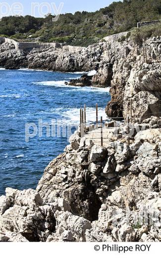 SENTIER LITTORAL, CAP D' ANTIBES,  VILLE DE ANTIBES  JUAN -LES-PINS, COTE D' AZUR. (06F00533.jpg)