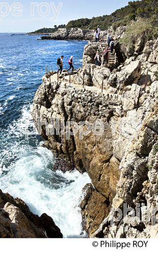 SENTIER LITTORAL, CAP D' ANTIBES,  VILLE DE ANTIBES  JUAN -LES-PINS, COTE D' AZUR. (06F00536.jpg)