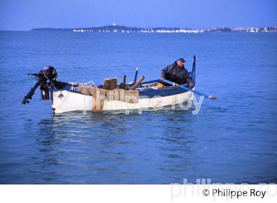 PECHE A LA POUTINE, PLAGE DE CROS DE CAGNES, CAGNES SUR MER, COTE D' AZUR. (06F00611.jpg)