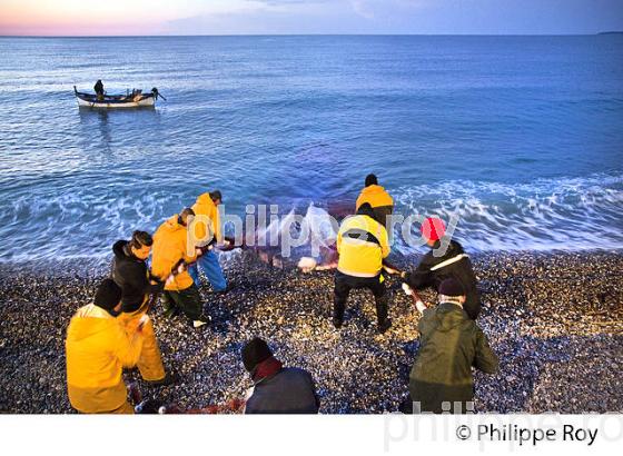 PECHE A LA POUTINE, PLAGE DE CROS DE CAGNES, CAGNES SUR MER, COTE D' AZUR. (06F00613.jpg)