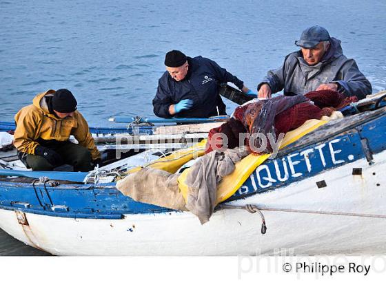PECHE A LA POUTINE, PLAGE DE CROS DE CAGNES, CAGNES SUR MER, COTE D' AZUR. (06F00629.jpg)
