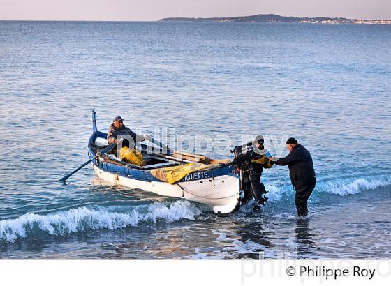PECHE A LA POUTINE, PLAGE DE CROS DE CAGNES, CAGNES SUR MER, COTE D' AZUR. (06F00630.jpg)