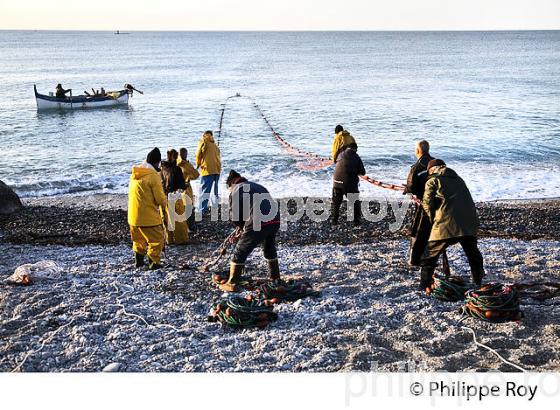 PECHE A LA POUTINE, PLAGE DE CROS DE CAGNES, CAGNES SUR MER, COTE D' AZUR. (06F00637.jpg)