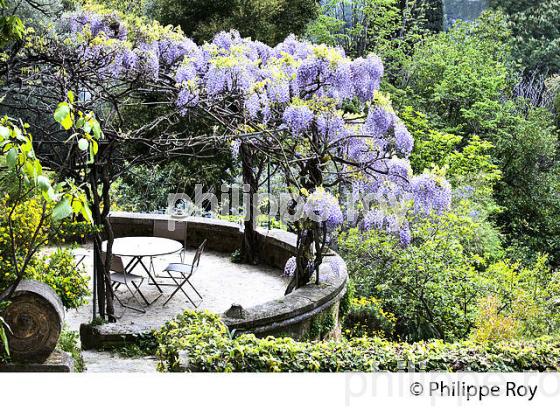 JARDINS DE SERRE DE LA MADONE, COMMUNE DE MENTON , COTE D' AZUR. (06F00820.jpg)