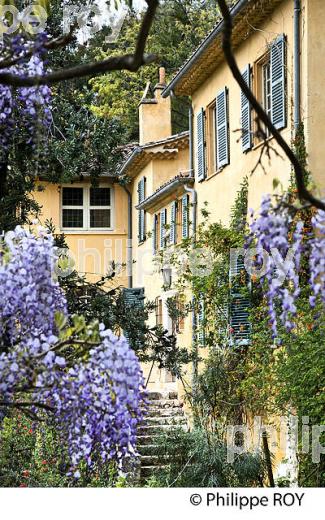 JARDINS DE SERRE DE LA MADONE, COMMUNE DE MENTON , COTE D' AZUR. (06F00837.jpg)