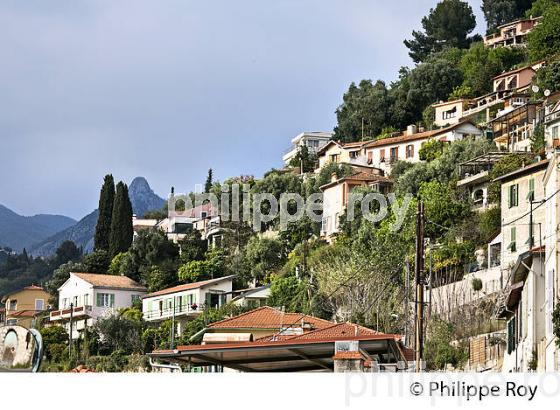 QUARTIER DU FOSSAN , VILLE DE MENTON , COTE D' AZUR. (06F00904.jpg)