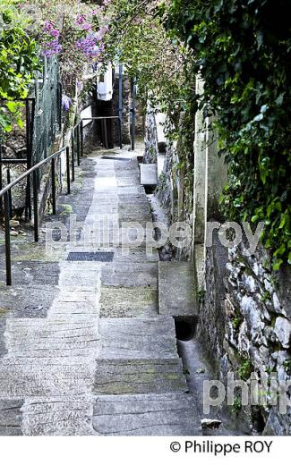 LE PLATEAU SAINT MICHEL , VILLE DE MENTON , COTE D' AZUR. (06F00912.jpg)