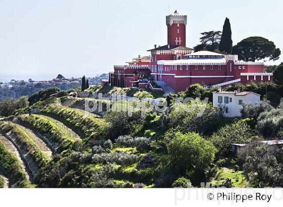 CHATEAU CREMAT, VINS AOP BELLET, NICE, COTE D' AZUR. (06F01233.jpg)