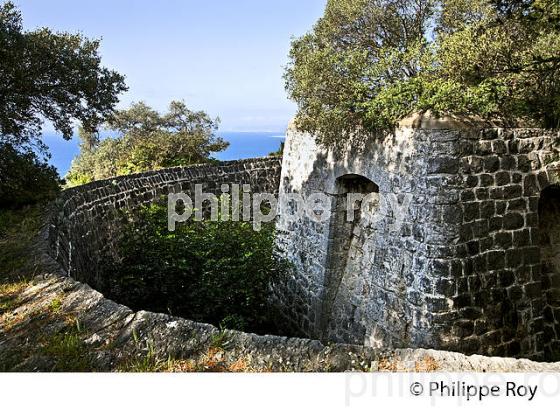 PARC DU MONT BORON, VILLE DE NICE , COTE D' AZUR. (06F01235.jpg)