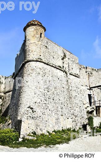 PARC DU MONT ALBAN, VILLE DE NICE , COTE D' AZUR. (06F01239.jpg)
