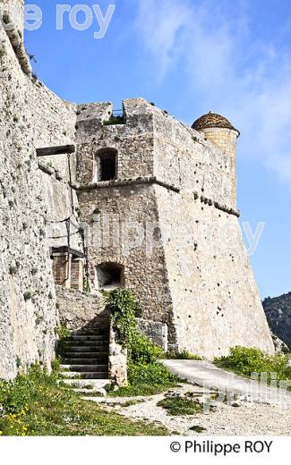 PARC DU MONT ALBAN, VILLE DE NICE , COTE D' AZUR. (06F01240.jpg)