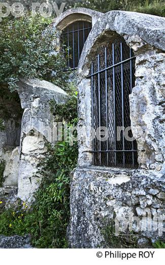 PARC DU VINAIGRIER,  VILLE DE NICE , COTE D' AZUR. (06F01302.jpg)