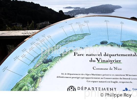 PARC DU VINAIGRIER,  VILLE DE NICE , COTE D' AZUR. (06F01309.jpg)