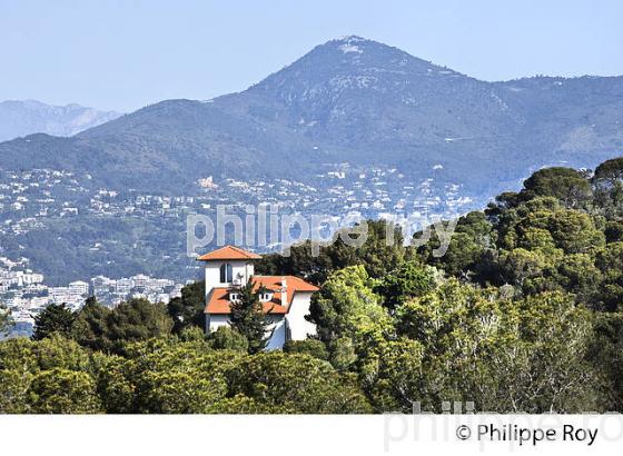 PARC DU MONT BORON, VILLE DE NICE , COTE D' AZUR. (06F01311.jpg)