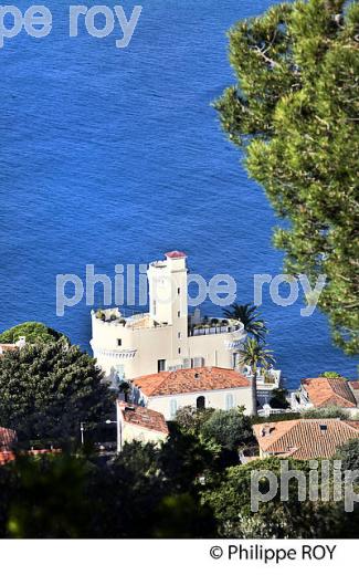 PARC DU MONT BORON, VILLE DE NICE , COTE D' AZUR. (06F01312.jpg)