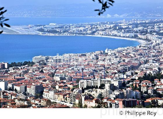 PARC DU MONT BORON,  ET VILLE DE NICE , COTE D' AZUR. (06F01318.jpg)
