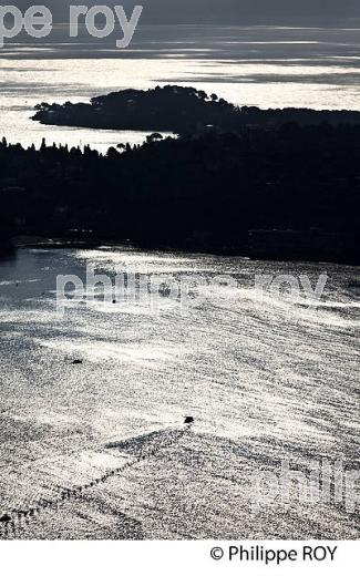 PARC DU MONT ALBAN, VILLE DE NICE , COTE D' AZUR. (06F01330.jpg)