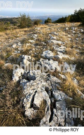 LE COL DE VENCE,  ALPES MARITIMES. (06F02014.jpg)