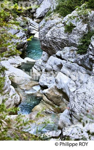 VILLAGE PERCHE   DE SAINT AUBAN, VALLEE DE L'  ESTERON, ALPES MARITIMES. (06F02036.jpg)