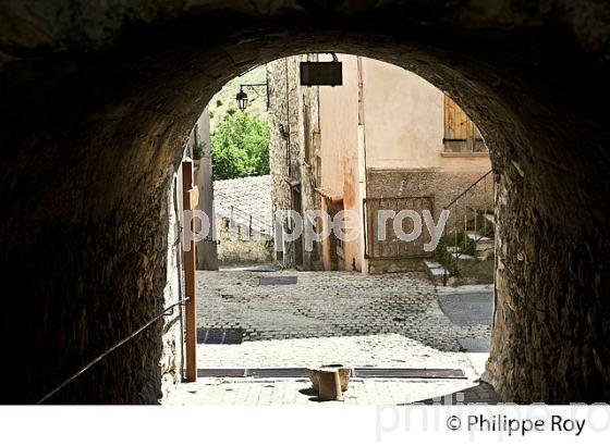 VILLAGE PERCHE DE BRIANCONNET , VALLEE DE L' ESTERON, ALPES MARITIMES. (06F02117.jpg)