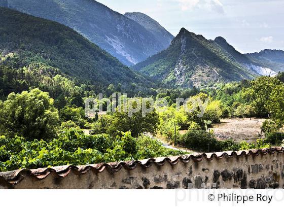 VILLAGE PERCHE   DE GARS, VALLEE DE L'  ESTERON, ALPES MARITIMES. (06F02120.jpg)
