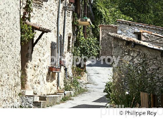 VILLAGE PERCHE   DE GARS, VALLEE DE L'  ESTERON, ALPES MARITIMES. (06F02122.jpg)