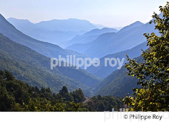 VILLAGE PERCHE  LE MAS VALLEE DE L' ESTERON, ALPES MARITIMES. (06F02221.jpg)