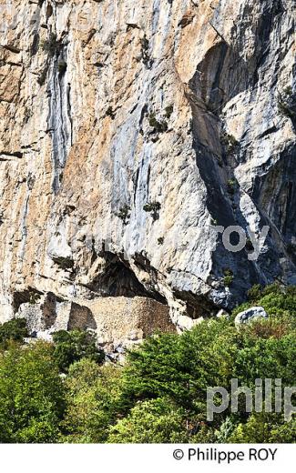 FORTERESSE DU VILLAGE PERCHE   DE AIGLUN , VALLEE DE L'  ESTERON, ALPES . (06F02311.jpg)