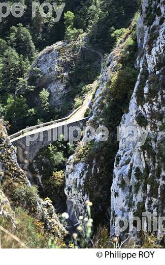 LA CLUE DU RIOLAN,  COMMUNE DE SIGALE, VALLEE DE L'  ESTERON, ALPES MARITIMES. (06F02425.jpg)