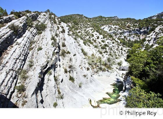 CLUE DU RIOLAN, VILLAGE  DE SIGALE , VALLEE DE L'  ESTERON, ALPES (06F02428.jpg)