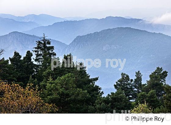 COL DE BLEINE , VALLEE DE L'  ESTERON, ALPES MARITIMES. (06F02619.jpg)