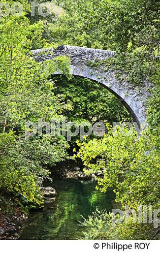 VALLEE DU LOUP,  COMMUNE DE GREOLIERE, ALPES MARITIMES. (06F02637.jpg)