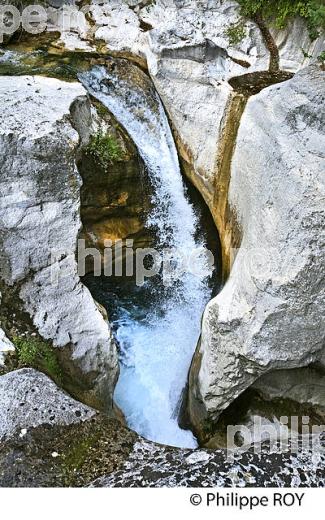 LE SAUT  DU LOUP, GORGES  DU LOUP,  ALPES MARITIMES. (06F02920.jpg)