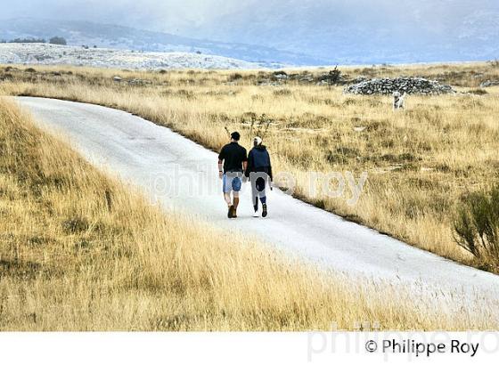 OBSEVATOIRE DE LA COTE D' AZUR, PLATEAU DE CALERN,   ALPES MARITIMES (06F02925.jpg)