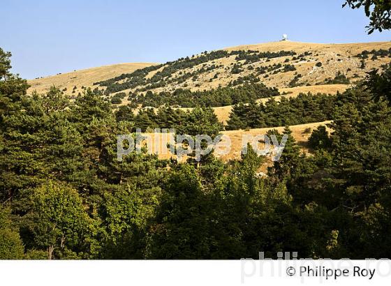 PLATEAU DE CAUSSOLS, VILLAGE DE CAUSSOLS,    ALPES MARITIMES. (06F02935.jpg)