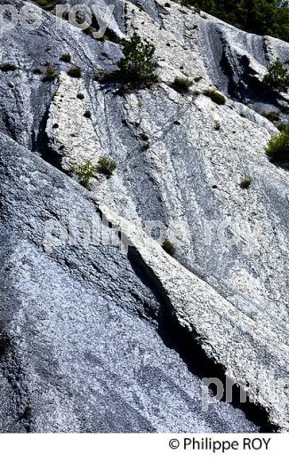 VALLEE DE LA ROUDOULE, ALPES MARITIMES. (06F03017.jpg)