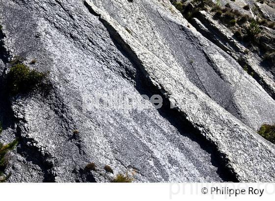 VALLEE DE LA ROUDOULE, ALPES MARITIMES. (06F03019.jpg)