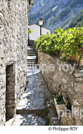 VILLAGE PERCHE DE PUGET ROSTANG, VALLEE DE LA ROUDOULE, ALPES MARITIMES. (06F03035.jpg)