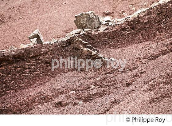 VALLEE DE LA ROUDOULE, ALPES MARITIMES. (06F03133.jpg)