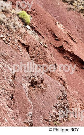 VALLEE DE LA ROUDOULE, ALPES MARITIMES. (06F03134.jpg)