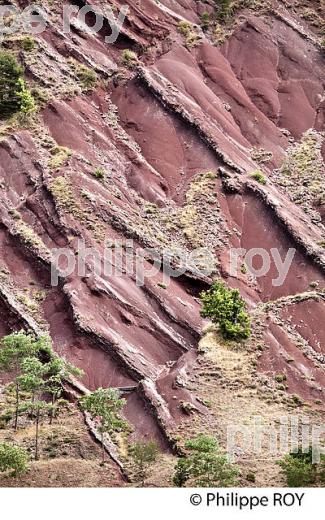 VALLEE DE LA ROUDOULE, ALPES MARITIMES. (06F03137.jpg)