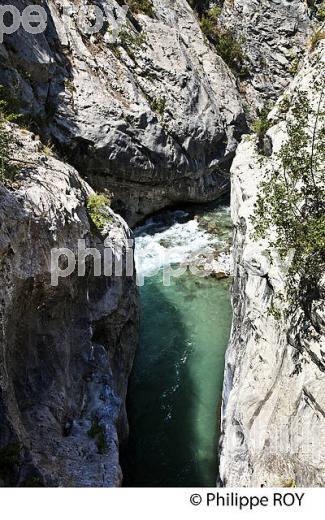GORGES DE LA VESUBIE, COMMUNE  DE UTELLE , VALLEE DE LA VESUBIE, ALPES MARITIMES. (06F03403.jpg)